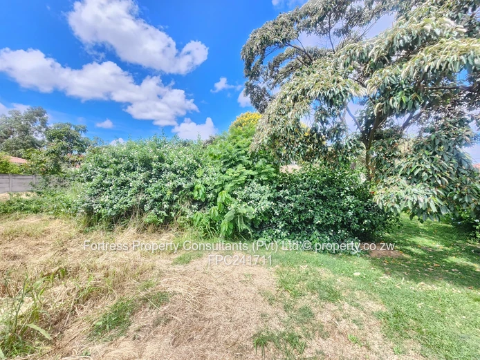 New Listing