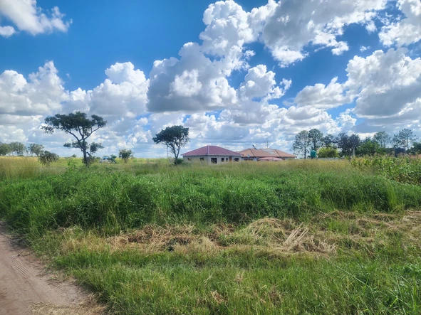 Stands & Residential Land