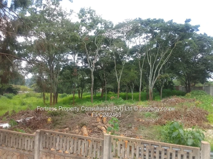 Land Bank- Quinnington