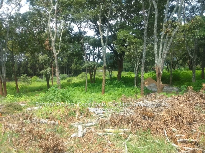 Land Bank- Quinnington