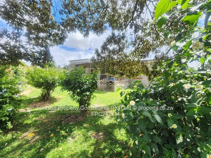New Listing