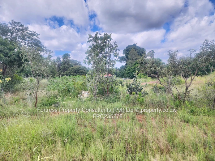 Quinnington Prime Land – Exclusive Opportunity